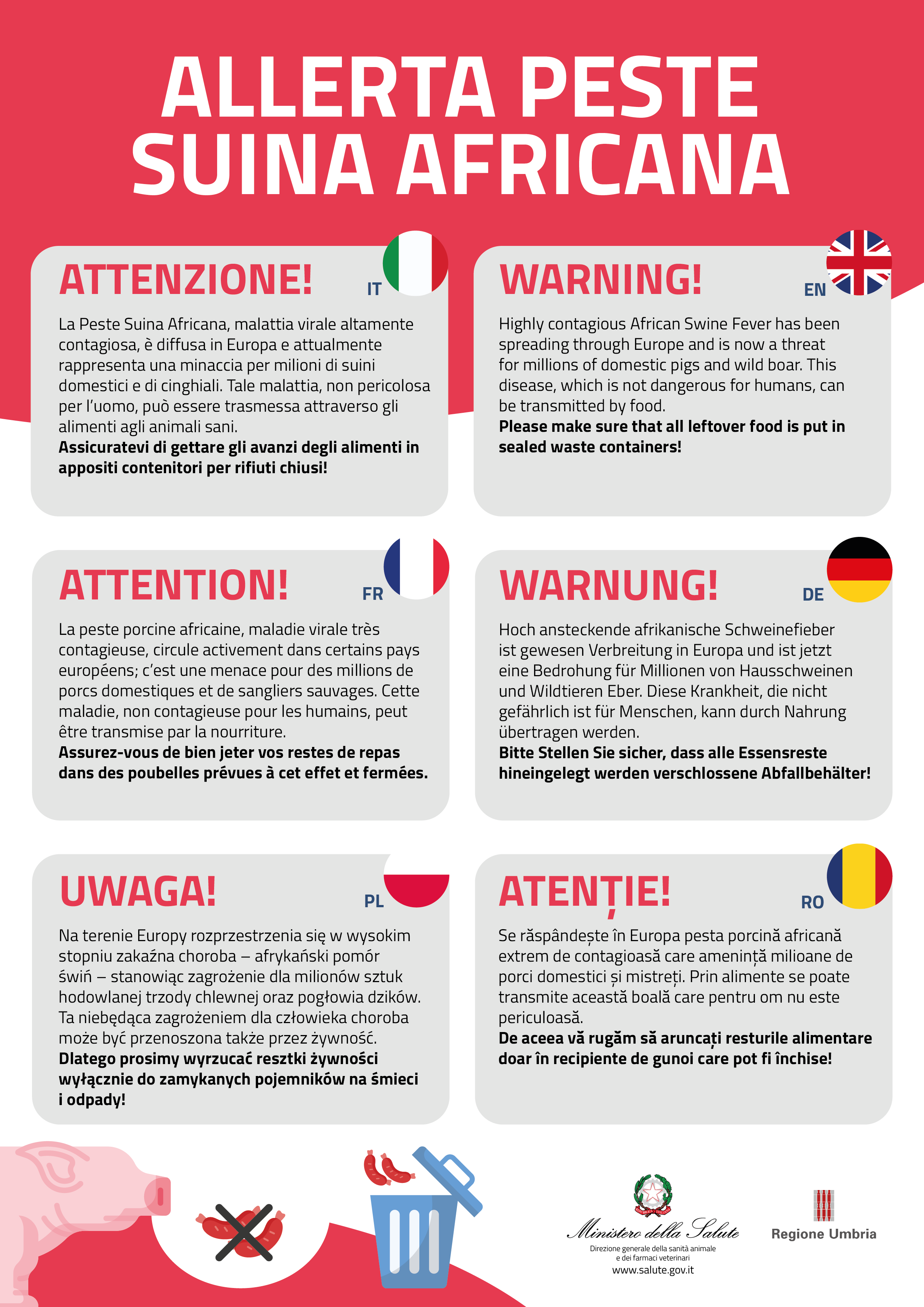 Locandina multilingua: peste suina, indicazioni su cosa fare in lingue straniere 2519
