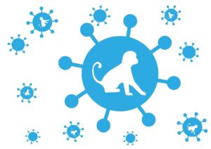 Vaiolo delle scimmie