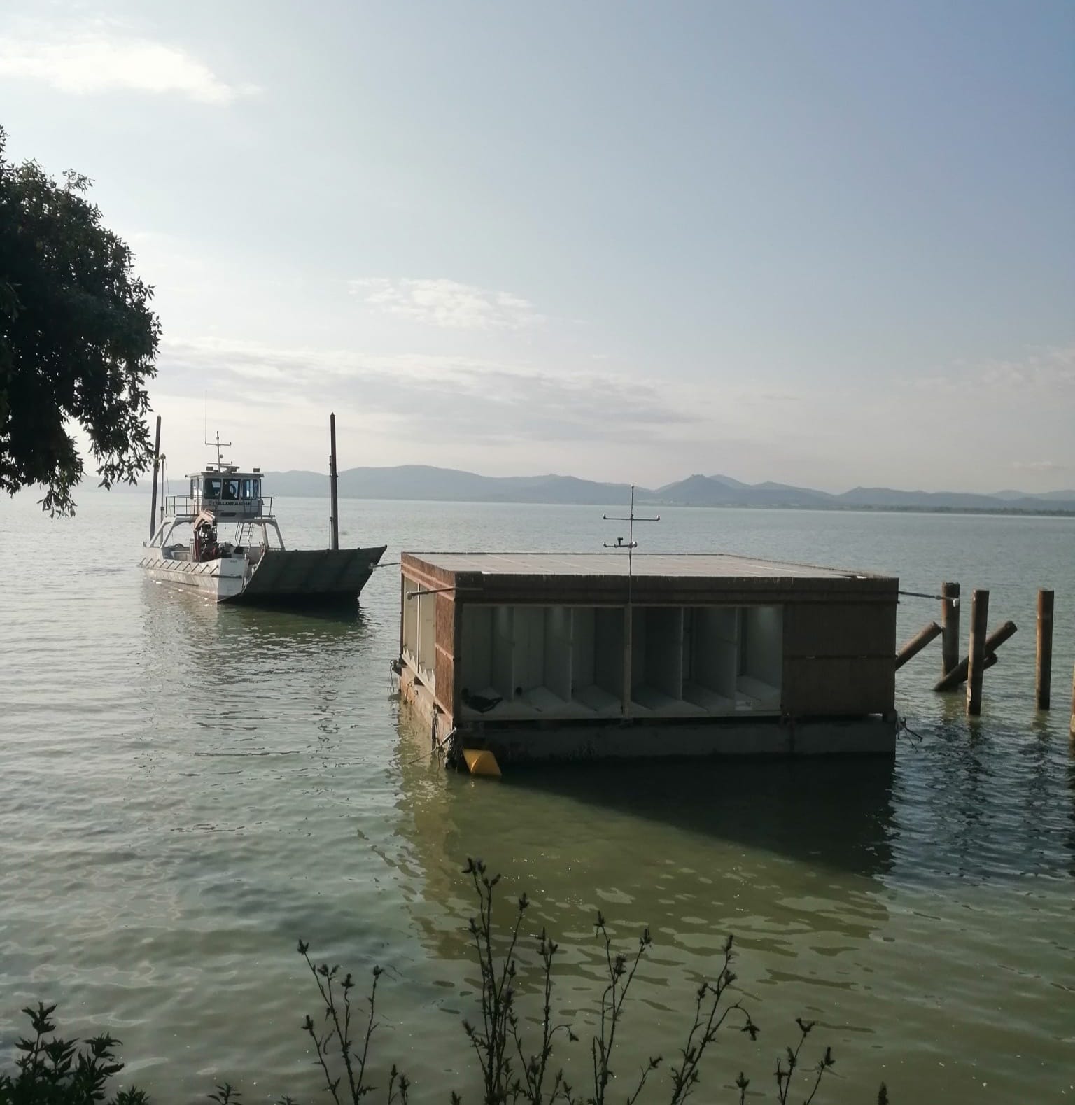 isola galleggiante lago trasimeno per la cattura selettiva dei chironomidi